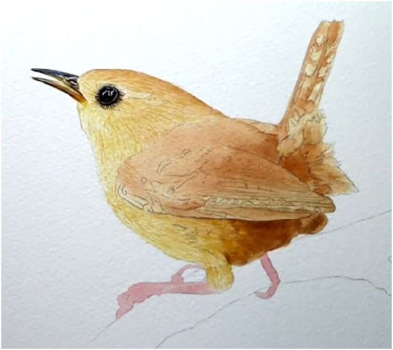 Paul has now painted the beak and eye, and has applied a brown and pink wash on the bird's plumage and legs.  He has introduced some tonal variation so that the bird already has some shape.