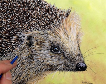 ORIGINAL Watercolour Hedgehog Painting, Wildlife Illustration Artwork, Realistic Watercolor Animal