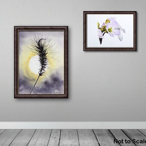 Two paintings from nature, the grass seed head study, and a cuckoo flower painting.  Both are in dark frames, displayed on a grey wall.