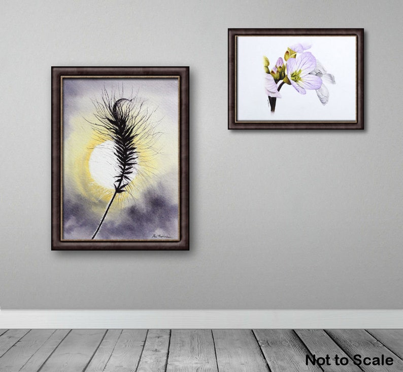 Two paintings from nature, the grass seed head study, and a cuckoo flower painting.  Both are in dark frames, displayed on a grey wall.