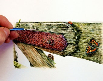 Original Watercolour, Old Wooden Gate Painting, Wildlife Artwork, Insect Illustrations, Rural Scene