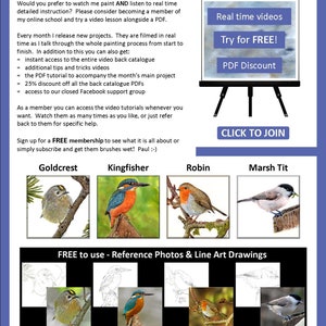 The last page of the lesson, which showcases four more birds that the artist is selling painting tutorials for.  A goldcrest, kingfisher, robin and marsh tit.  There are also details about online video lessons too.