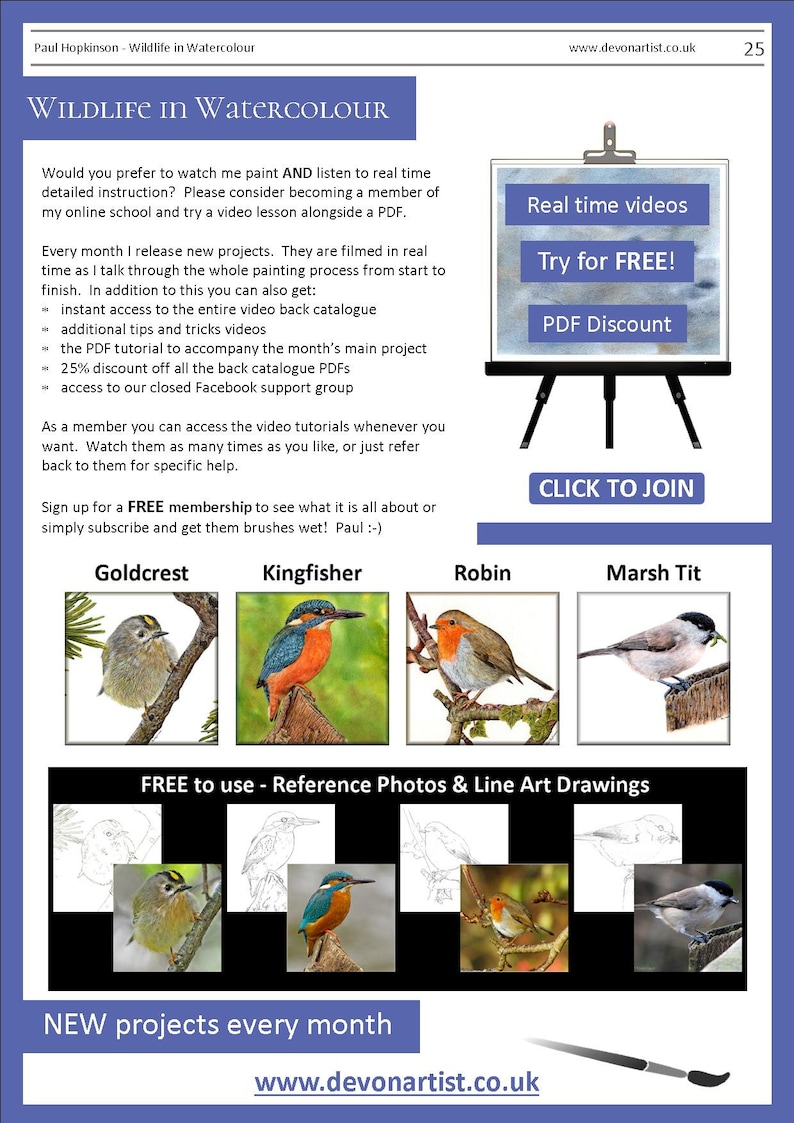 The last page of the lesson, which showcases four more birds that the artist is selling painting tutorials for.  A goldcrest, kingfisher, robin and marsh tit.  There are also details about online video lessons too.