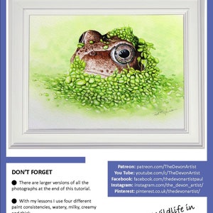 The first page of the lesson with the finished frog painting in a white frame. Below are links to Paul's online art channels, patreon, youtube, pinterest, instagram and facebook.   There are also contact details for Paul too.