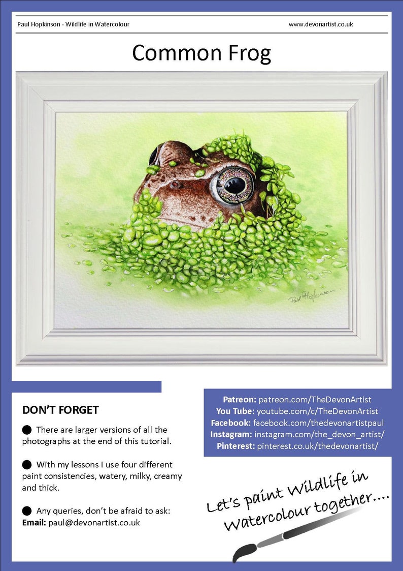 The first page of the lesson with the finished frog painting in a white frame. Below are links to Paul's online art channels, patreon, youtube, pinterest, instagram and facebook.   There are also contact details for Paul too.