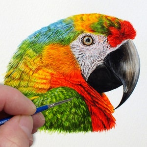 How to Paint Birds in Detailed Watercolour, Parrot Watercolor Tutorial, Step-by-Step Pet Painting Art Lesson
