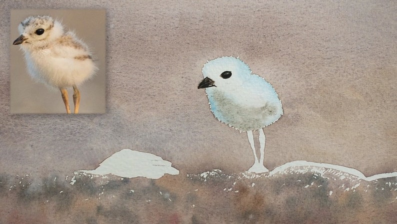 The background wash layers are complete, and Paul is painting the chick.  It has a grey belly, and its eye and beak have been completed in a dark paint.
