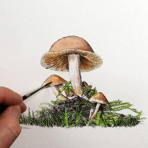 Original Pen & Wash Naturstudie, Aquarell Illustration, Pilzmalerei