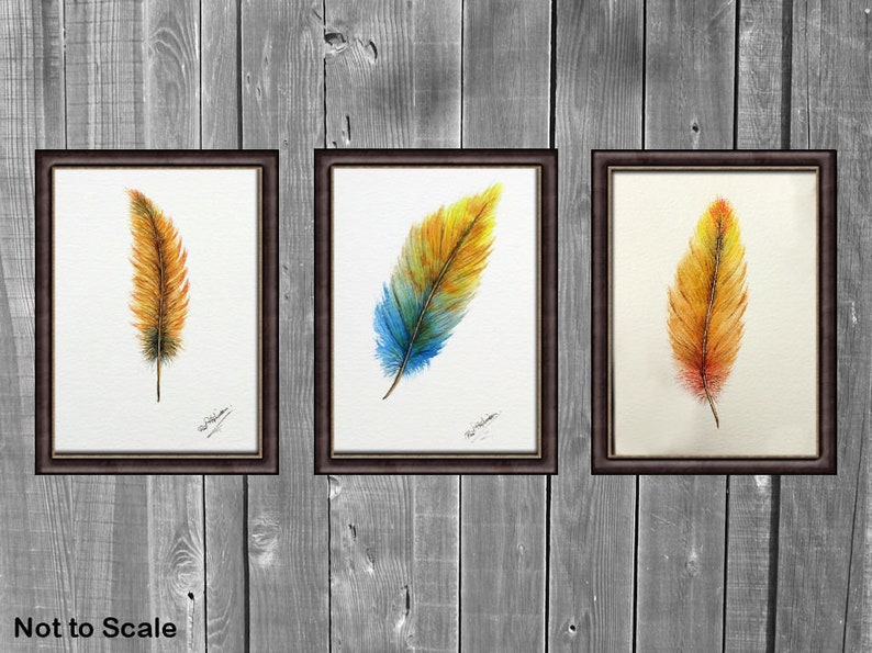 Original Watercolour Feather Paintings, Colourful Watercolor Wall Art, Affordable Art, Feather Art image 3