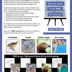 The last page of the document showing 4 more PDFs that can be bought from Etsy.  A small bird, koala, golden eagle and turtle.  Above are written details about the artist's video tutorials.  These are also available online.