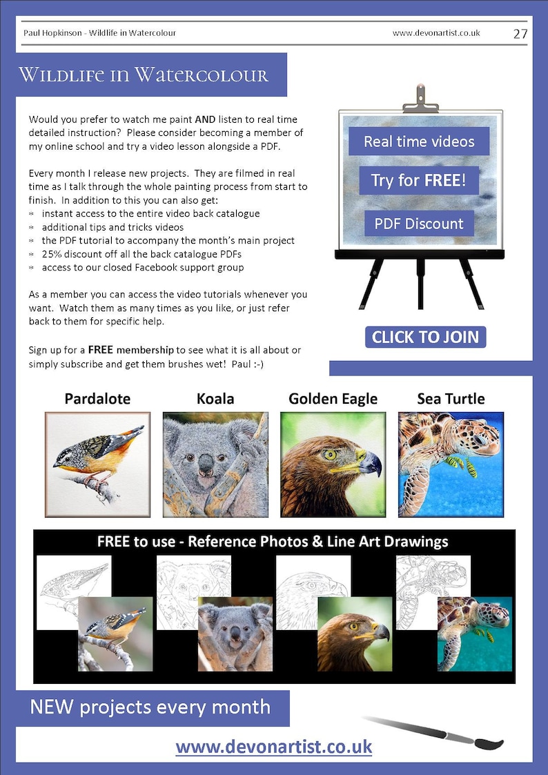 The last page of the document showing 4 more PDFs that can be bought from Etsy.  A small bird, koala, golden eagle and turtle.  Above are written details about the artist's video tutorials.  These are also available online.