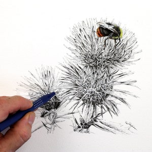 Pen and Wash Bee Painting Tutorial, Watercolor Bumblebee Artwork, Watercolour Flower Illustration, Pen & Ink Wildlife Picture, Bee Gift