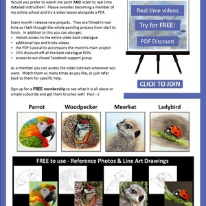 The last page of the lesson, which gives an overview of 4 other lessons that are available from Etsy.  A parrot, woodpecker, meerkat and ladybird.  All painted in detail from photos.