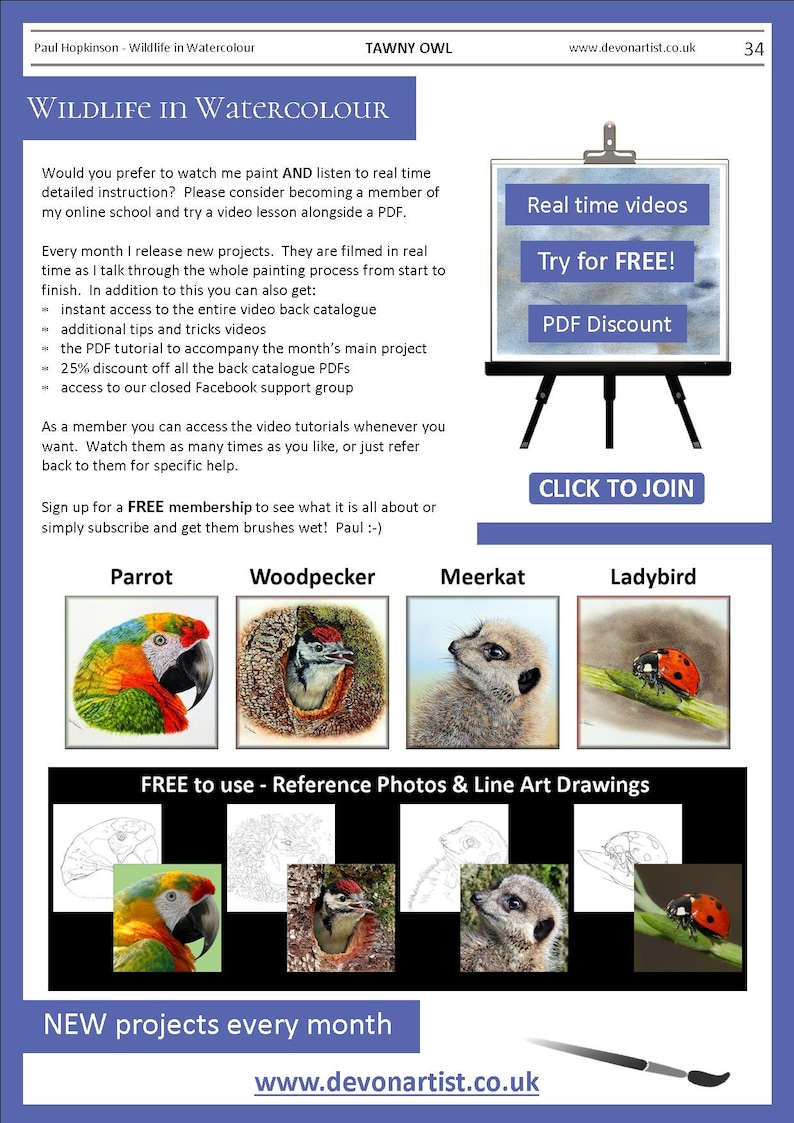 The last page of the lesson, which gives an overview of 4 other lessons that are available from Etsy.  A parrot, woodpecker, meerkat and ladybird.  All painted in detail from photos.