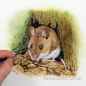 Paul finishing off painting a wood mouse.  The animal is in a hole at the base of some broken wood, with little bits of gravel at its feet.  The mouse as large, black shiny eyes and large round ears too.  It has been painted in an illustrative style.