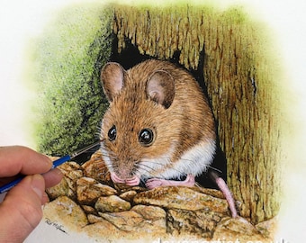Peut inclure: Une peinture à l'aquarelle d'une souris des champs brune avec un ventre blanc qui sort d'un trou dans un tronc d'arbre. La souris est assise sur des rochers, sa queue s'étendant vers la droite. L'arrière-plan est une aquarelle verte et brune.