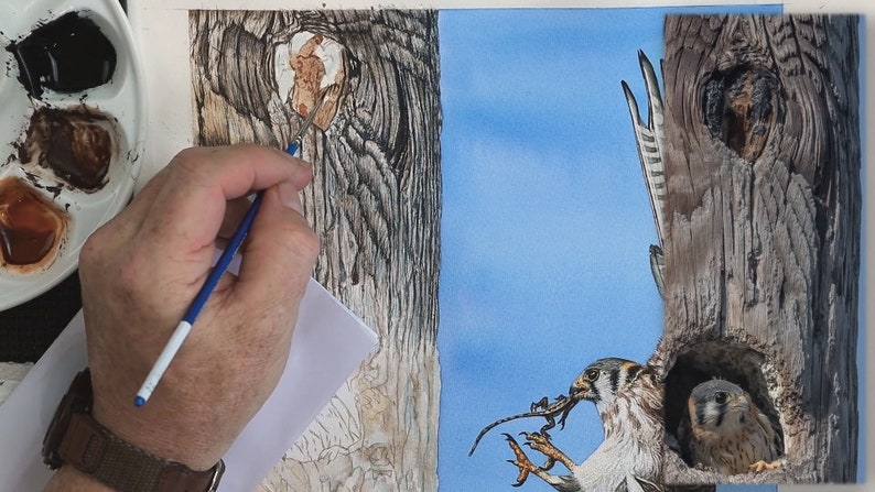 In this photo Paul has the top half of the tree with quite a lot of dark detail painted in.  He is working on a knothole at the top, which is shown in the reference photo to the right.