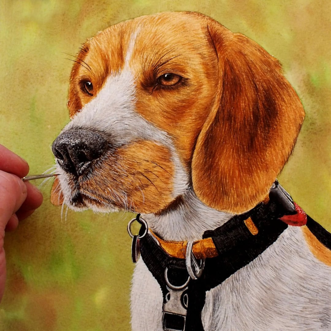 オリジナル水彩画の犬の肖像画、リアルな水彩画、ビーグルの絵