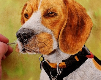 ORIGINAL Watercolour Dog Portrait, Realistic Watercolor Painting, Beagle Painting, Dog Illustration, Beagle Puppy