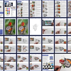 An overview of the lesson shown as a collage of pages.  Together these show the progression of the pen and wash study from start to finish.  There's written instruction and also lots of photos of Paul's own painting.