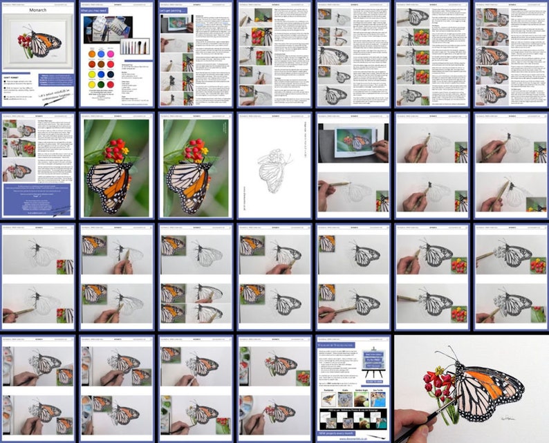 An overview of the lesson shown as a collage of pages.  Together these show the progression of the pen and wash study from start to finish.  There's written instruction and also lots of photos of Paul's own painting.