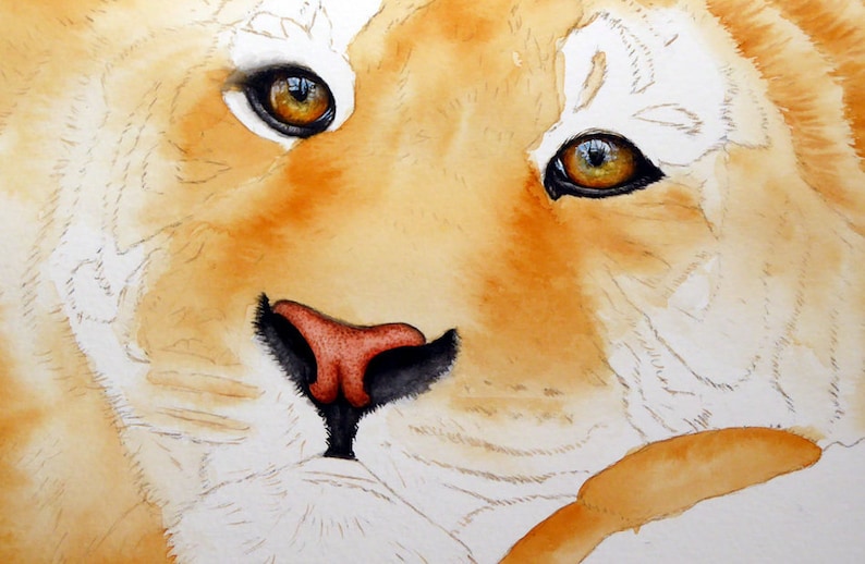 How to Paint Animals in Watercolor How to Paint a Tiger Etsy UK