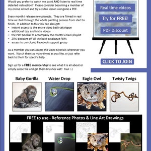 This is the last page of the lesson, which has 4 more PDF tutorials illustrated.  A gorilla, a droplet, an eagle owl and a twisty grapevine.  There are also written details about the artist's video lessons he sells.