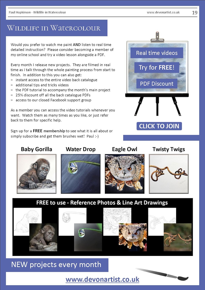 This is the last page of the lesson, which has 4 more PDF tutorials illustrated.  A gorilla, a droplet, an eagle owl and a twisty grapevine.  There are also written details about the artist's video lessons he sells.