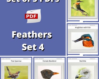 Watercolor Bird Painting Lessons: 5 Realistic Feather Tutorials (PDF Download)