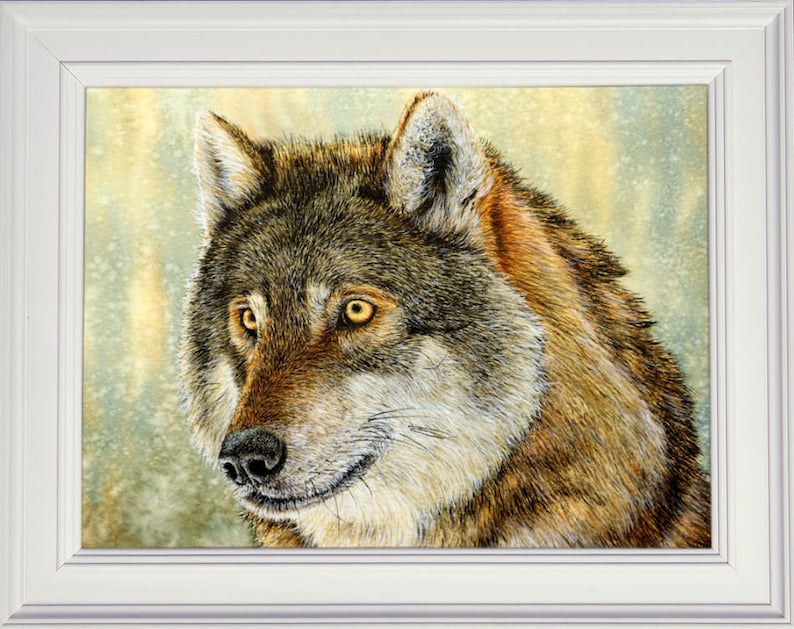 The finished wolf illustration shown in a white frame.