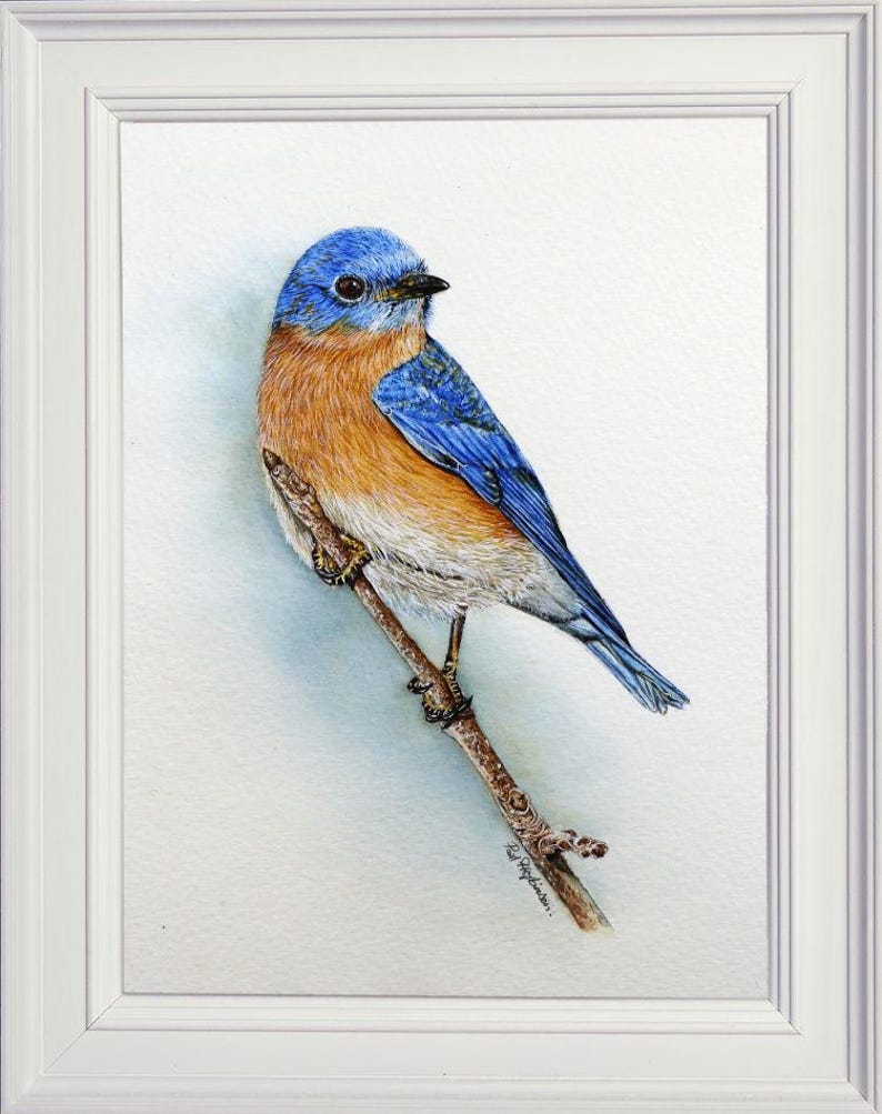 The completed bluebird painting in a white, portrait style frame.  The bird and twig are sort of diagonal across the frame.