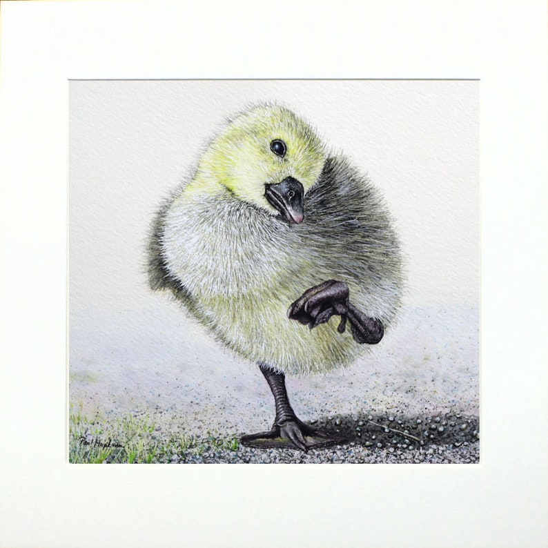 Gosling painting in a cream mount.