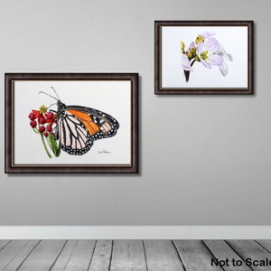 The monarch painting is displayed in a dark brown frame and hung on a wall.  Alongside there is a pale mauve flower in the same sort of frame.