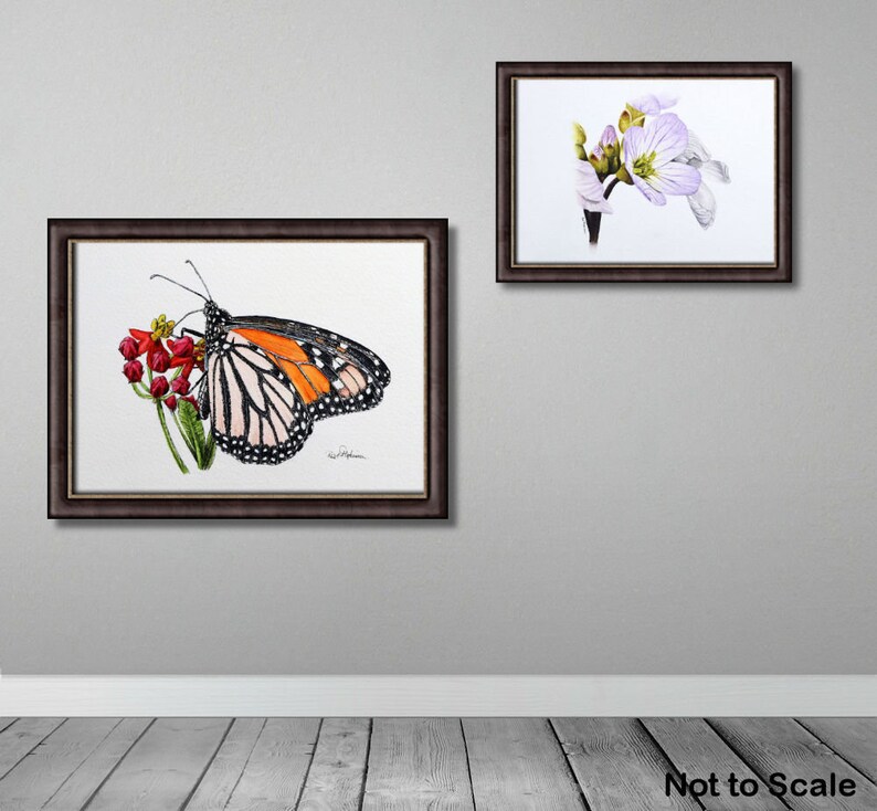 The monarch painting is displayed in a dark brown frame and hung on a wall.  Alongside there is a pale mauve flower in the same sort of frame.