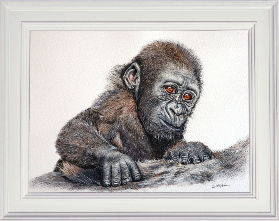 ペンと水彩ウォッシュのゴリラの絵画、水彩動物アート、イラスト
