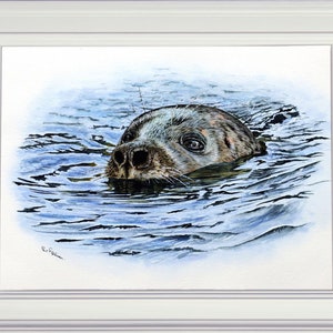 The seal painting in a white frame.  This study focuses on a seal in the water, so just a head above the ripples of the water.  The water is blue, and the seal a bluey grey colour.