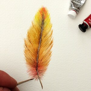 Original Watercolour Feather Paintings, Colourful Watercolor Wall Art, Affordable Art, Feather Art 3. Golden Glow