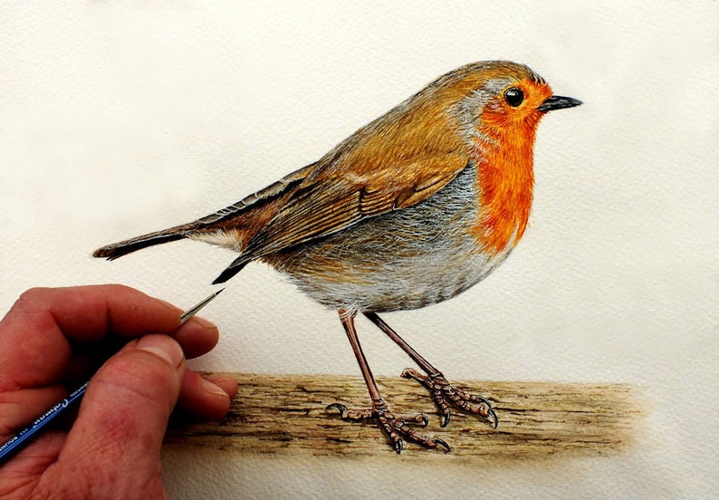 Paul's hand is to the left of a painting of a Robin.  The bird is stood on a piece of wood, it is mainly brown, with an orange/red chest and face, and a grey underbelly.  It has a small black eye and beak.