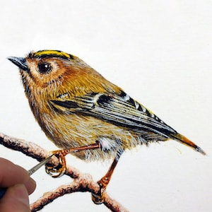 Learn to Paint in Watercolour with a Step-by-Step-Lesson, Watercolor Illustration, Art Tutorial