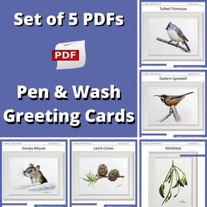 May include: Set of five printable PDF greeting cards featuring pen and wash illustrations of a tufted titmouse, eastern spinebill, snowy mouse, larch cones, and mistletoe.