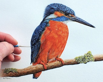 Paint a Realistic Kingfisher in Watercolour, Learn to Paint in Watercolor, Bird Painting Tutorial, Illustration Style Art