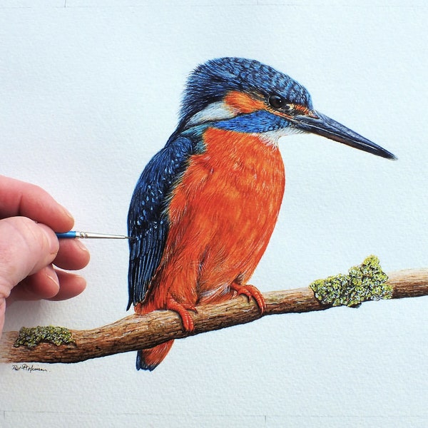 Paint a Realistic Kingfisher in Watercolour, Learn to Paint in Watercolor, Bird Painting Tutorial, Illustration Style Art