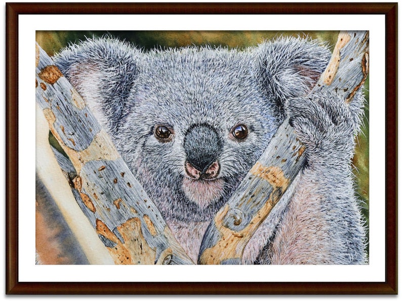 Original Watercolour Koala Painting, Realistic Fine Art Illustration, Watercolor Wildlife Artwork image 9