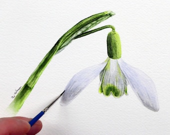 Snowdrop Watercolour Painting Lesson, Learn to Paint White Flowers in Watercolor, Botanical Style Illustration