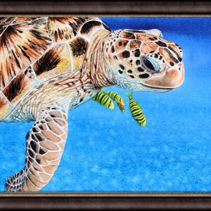 The turtle painting in a dark brown frame.