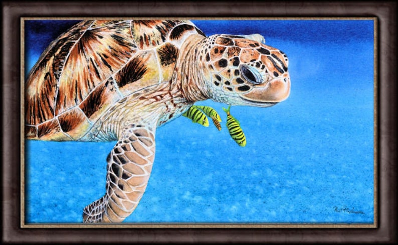 The turtle painting in a dark brown frame.