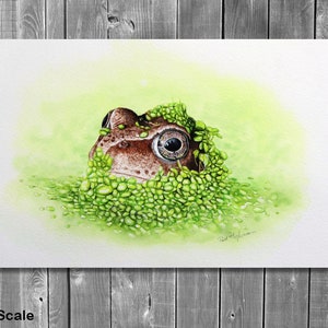 The frog painting shown against a grey, wood panelled wall as though the image is a canvas picture.