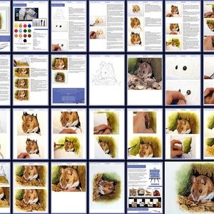 Overview image of the whole lesson, showing how the tutorial is set out.  It starts out with written instruction alongside work in progress photos.  The latter half has the photos full page width.