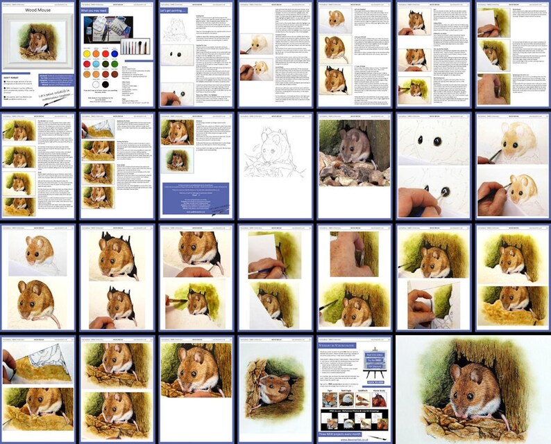 Overview image of the whole lesson, showing how the tutorial is set out.  It starts out with written instruction alongside work in progress photos.  The latter half has the photos full page width.