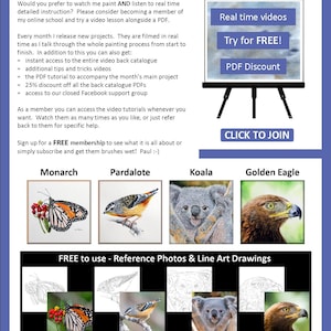 The last page of the lesson with written details about Paul's online watercolor video tutorials.  There are also illustrations of 4 more PDFs that can be purchased, a monarch butterfly, pardalote bird, koala and golden eagle.